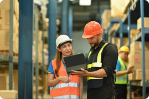 Empresas de Logística y
                                                    Almacenamiento